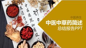伝統的な中国医学と漢方薬に関する要約レポートPPT