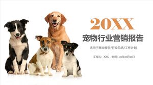 20XX تقرير تسويق صناعة الحيوانات الأليفة