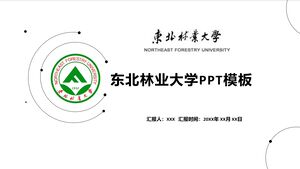 Шаблон PPT Северо-восточного университета лесного хозяйства