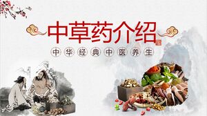 Chinese Classic Traditional Chinese Medicine Health Preservation