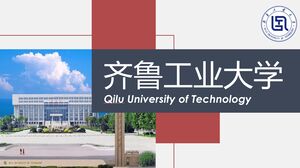 Università della Tecnologia di Qilu