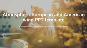 Ppt European and American style