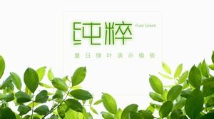Modelo de PPT de folha verde fresca de arte bonita verde