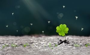 Green Vigorous Clover PPT Background Picture