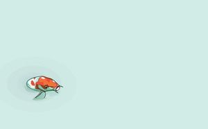Hellgrünes Karpfen koi Fische PPT-Hintergrundbild