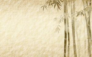 Green and elegant bamboo bamboo forest PPT background picture Green and elegant bamboo bamboo forest PPT background picture