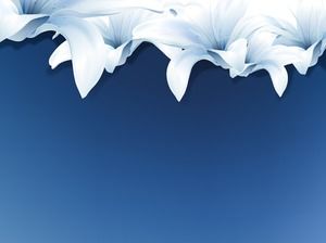 Голубая элегантная лилия PPT фоновый рисунок