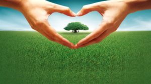 Yeşil aşk doğa PPT arka plan