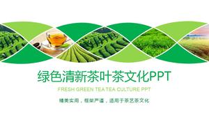 Green tea plantation background tea culture 