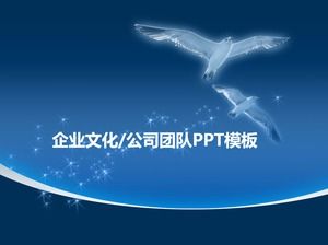 Seagull spread wings soaring ppt template suitable for team presentation corporate culture display
