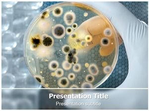 Bacterial assay analysis-biomedical research ppt template
