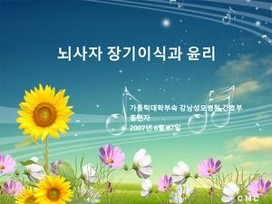 Spring flowers blooming, spring melody, spring ppt template