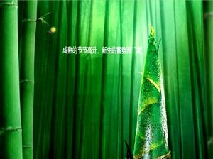Modelo de ppt de floresta de bambu de broto de bambu legal