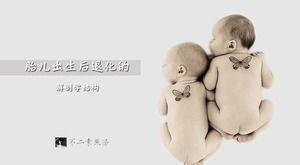 出生後變性胎兒的解剖-用於個人作業教室演示的簡單ppt模板