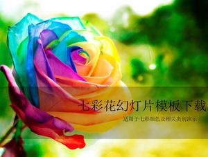 Șablon colorat trandafir frumos ppt
