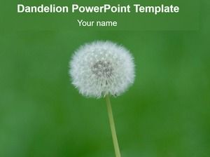 Dandelion light green background ppt template