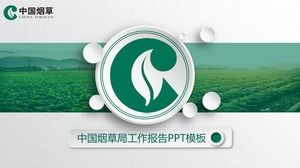 เทมเพลต PPT สำหรับยาสูบจีนที่มีพื้นหลังเป็นพืชยาสูบ