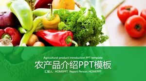 Vegetable PPT template