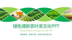 Template PPT kultur latar belakang taman teh hijau PowerPoint Template