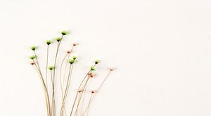 Sechs einfache und frische Bouquet PPT Hintergrundbilder