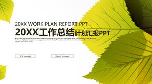 工作摘要计划PPT模板与精致的树叶背景