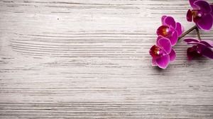 Wooden board small flower PPT background picture
