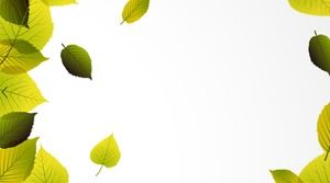 Delicate green leaf PPT background picture