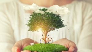 Arbre vert chiot vélo thème environnemental PPT fond image