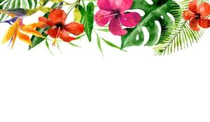 Dwa kolorowe zdjęcia tła slajdów kwiatu akwareli