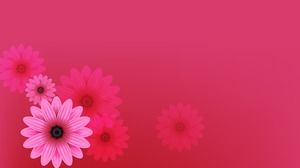 รูปพื้นหลัง PPT ดอกไม้สีชมพูสวยงาม