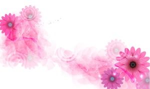 ピンクの美しい花PPT背景画像