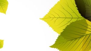 PPT Hintergrundbild von zarten grünen Blättern