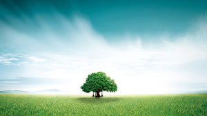 美麗的草綠樹PPT背景圖片