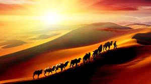 Silk road desert camel PPT background picture