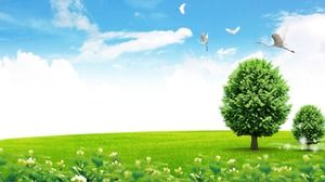 青い空と白い雲草の緑の木の4つのPPT背景画像