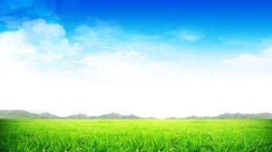 Fresh blue sky and white cloud grass PPT background picture