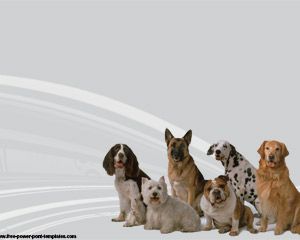 Dog Breeds PowerPoint Template