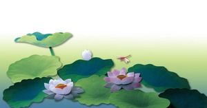 Two delicate lotus PPT background pictures