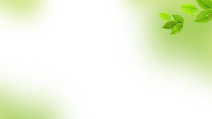 Elegant green leaves PowerPoint background picture