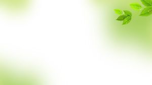 Elegantes Grün hinterlässt PowerPoint-Hintergrundbild Elegantes Grün hinterlässt PowerPoint-Hintergrundbild