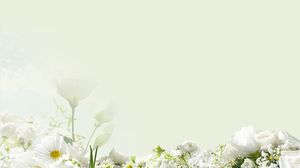 خلفية خضراء أنيقة بيضاء الأزهار خلفية صورة PPT