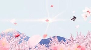 PPT background pictures of peach blossoms and butterflies flying beautifully