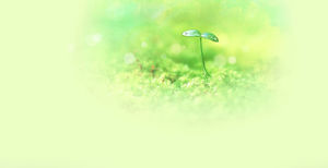 Blurred green seedling PPT background picture Blurred green seedling PPT background picture