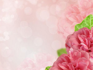 ピンクの花のPPT背景画像