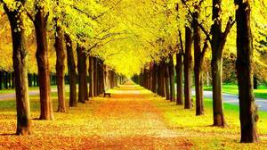 Golden yellow tree PPT background picture