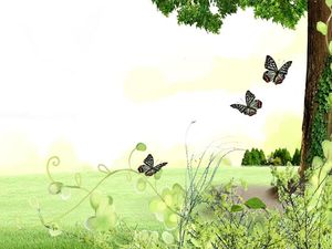 芝生の大きな木蝶花自然PPT背景画像