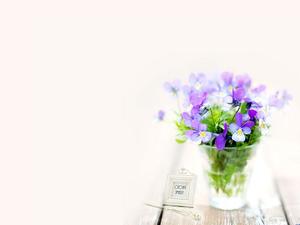 紫色小花植物PPT背景圖片