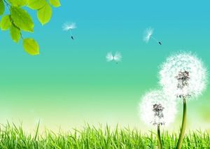 Yellow green blue background dandelion PPT background picture