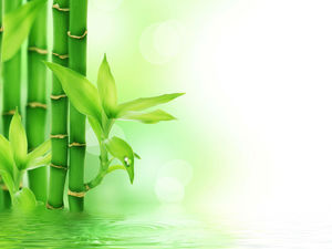 Fresh lake bamboo leaves PPT background picture