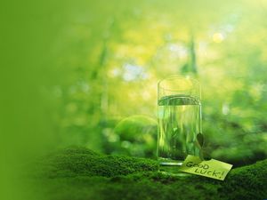 ガラスの水ボトルボトルの緑の苔植物のPPT背景画像